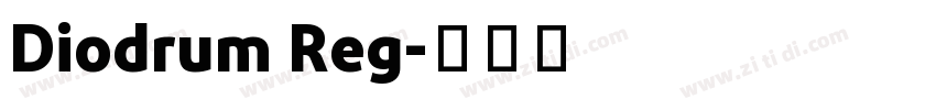 Diodrum Reg字体转换